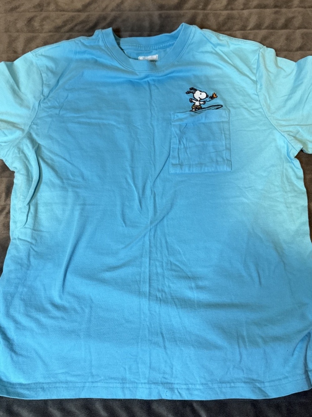 Snoopy Men’s Medium Peanuts Tailgate Surfer Pocket T shirt Teal Embroidered